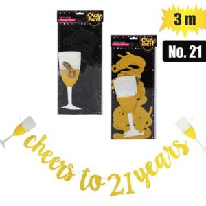 Party banner milestone 3m no-21