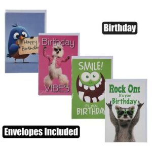 Card & envelope birthday - funny